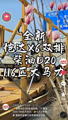 全新愷達(dá)X6柴油雙排，德威D20-116匹大馬力。